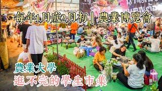 曼谷生活vlog|很開心體驗到人擠人的夜市，約定明年搭BTS去逛大學的超大型市集，Kasetsart University農業博覽會