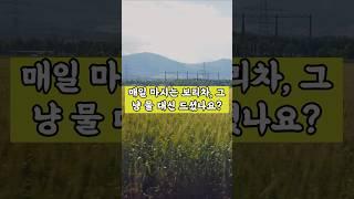 보리차 효능을 2배 높이는 특급 비법! 딱 '이것' 한 줌이면 혈관이 싹 깨끗해집니다