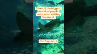 Biggest Mistakes when visiting SeaWorld