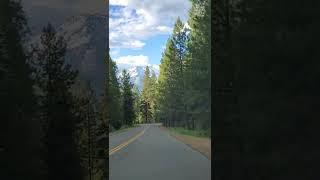 Mount Shasta  #shorts #california