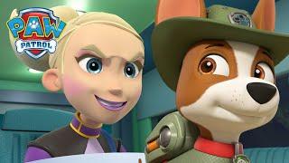 Кученцата от Jungle Rescue спират Чита да унищожи дърветата! PAW Patrol Bulgarian карикатури за деца