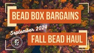 Bead Box Bargains FALL HAUL!!! Ordered Sept 13th. Received Sept 20th