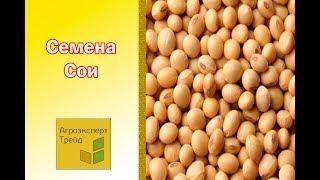 Видео -  Семена Сои от Агроэксперт Трейд  