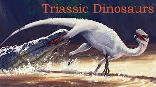 The Dinosaurs of the Triassic Period: A Summary of the First Dinosaurs and their Rise to Dominance