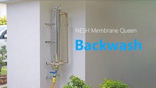 Nesh Membrane Queen Outdoor Water Filter - How to do backwash once a month