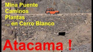 Puente Mine in Cerro Blanco, ruins and history of Atacama, Chile