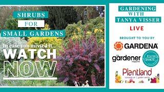 Shrubs For Small Gardens | Masterclass with Tanya Visser