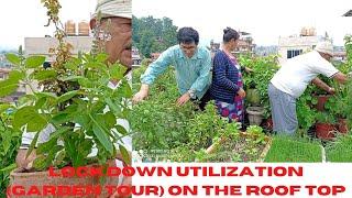 Lockdown Utilization (Garden Tour) on the Roof Top Gardening Nar Bahadur BC Dev Kumari BC Sunami BC