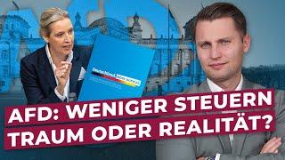 Alice Weidel Wahlprogramm AFD 2025 | Steuerberater David Kasper analysiert