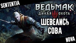 Шевелись, сова – Ведьмак 3 начало прохождения