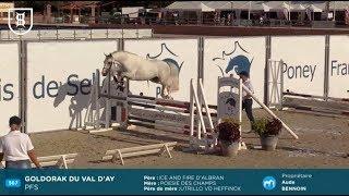 Sologn'Pony 2019 - Poney Français de Selle - Étalons de 3 ans approuvés