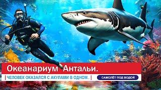 Don't go until you see it. Antalya Aquarium is located near Konyaalti Beach and Migros 5M store.