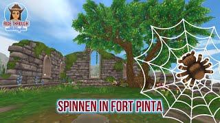 Spinnen in Fort Pinta ▷  Star Stable [SSO]