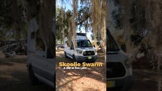 What’s a day like at Skoolie Swarm? #vanlife #florida #shorts