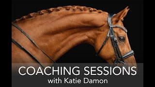 Equine Photography - Editing Coaching Sessions with Katie Damon