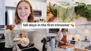 cozy first trimester vlog ️ homemaking days, meal prep, baking, catching up on household tasks