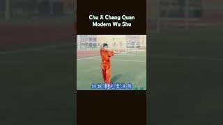 Chu Ji Chang Quan. Contemporary Whu Shu #kungfu #wushu