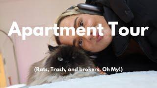 Tour of my rent stabilized dungeon (nyc apartment tour)