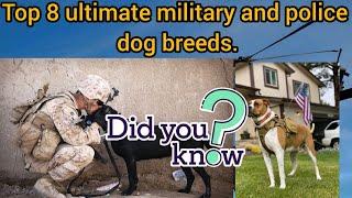 These are top 8 ultimate military and police dog breeds||ambition iq