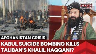 Taliban's Khalil Haqqani Killed In Kabul Suicide Bombing| Power Struggle In Afghanistan? What Next?