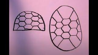 How to Draw a Turtle Shell Pattern