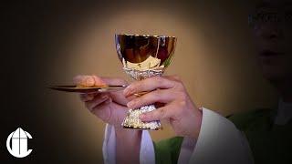 Catholic Mass Today: 11/14/24 | Thursday of the Thirty-Second Week in Ordinary Time