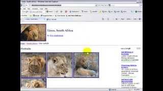 Inserting A Hyperlink Microsoft Word 2003