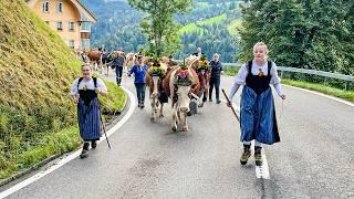 Alpabzug der Familie Haldimann