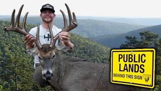 Bow Hunting Huge Public Land Mountain Buck | Self-Filmed Rut Hunt