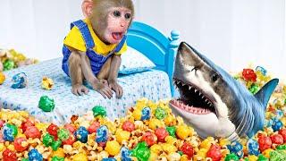 KiKi Monkey escape from Shark game and Rainbow Popcorn Popping on Lava Floor | KUDO ANIMAL KIKI