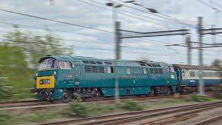 Diesels Working Railtours On The Mainline Compilation 2024