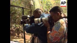 South Africa - Arrival Of Animal Species At Zoo