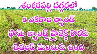 Farm Lands Development Lands Near Shankarpally 9063831413 Hyderabad Best Real Estate Business Area