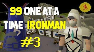 I cannot wait to finish agility (Ironfficient #3) - Agility 3