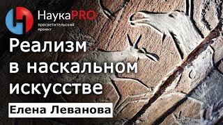 Реализм и красота в наскальном искусстве – Елена Леванова  | Лекции по археологии | Научпоп