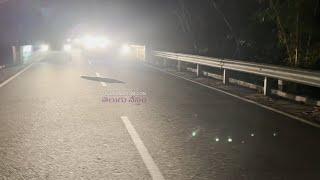 Big Snake Crossing Road Caused Traffic Jam On Tirumala Ghat Road