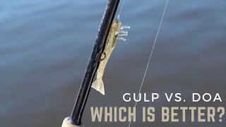 Which Popular Shrimp lure is better? (Lure Review)