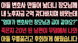 실화사연 - 변호사 만들어 놨더니 장모님께 내 노후자금 2억 갖다바치며 ”엄마가 변호사인 장모님과 급이 같아요?“ 죽은 남편이 무덤에서 나와 아들 무릎꿇리고 후회하게 해줬습니다.