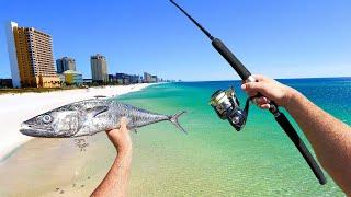 Fishing 3 Piers in 3 Days and Eating Everything We Catch! (Almost)