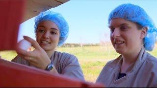 UC Davis Poultry Research Gives Back to Yolo County