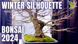 Winter Silhouette Bonsai Show 2024