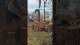 stihl ms661 magnum! this is insane  #diy #firewood #ms661 #stihl #chainsaw #outdoors #smallbusiness