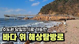 속이 뻥 뚫리는 바다 위 해상탐방로, 수도권 당일치기로 떠나는 바다 여행, 동해 같은 서해 바다