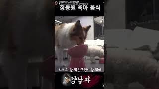 #정동원 #테디베어를 위한 요리시작#초코마로님인별 #걍남자출처