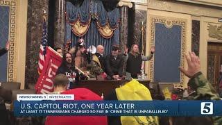 Tennessee's Capitol riot suspects: Who are they, and what do we know about cases against them?