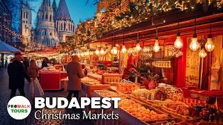 Budapest's Most Beautiful Christmas Markets Tour  | Explore St. Stephen’s Basilica & Festive Lights