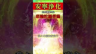 【魂の浄化と精神の安寧と安らぎを】耶輸陀羅菩薩真言 #波動 #スピリチュアル #開運 #レイキヒーリング