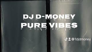 Pure Vibes Episode 2 |DJ Mix | 2024|Rap | R&B | Hits | Throwbacks| DJ D-Money| Freestyle| Old School