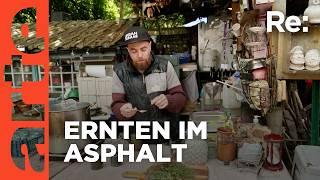 Wildes Essen vom Straßenrand | ARTE Re: