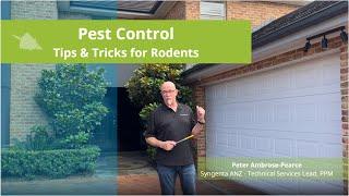 Rodents Control - Top Tips & Tricks